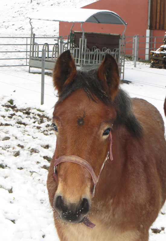 Selina de la Mess